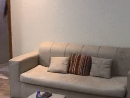 🌟 شقة مفروشة فاخرة 3 غرف وصالة مع مصعد ومخرج طواري.. صيفي