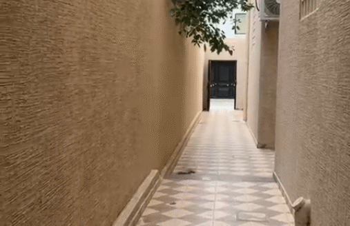 🏡 شقة للإيجار – دور أرضي بمواصفات عملية وسعر مناسب