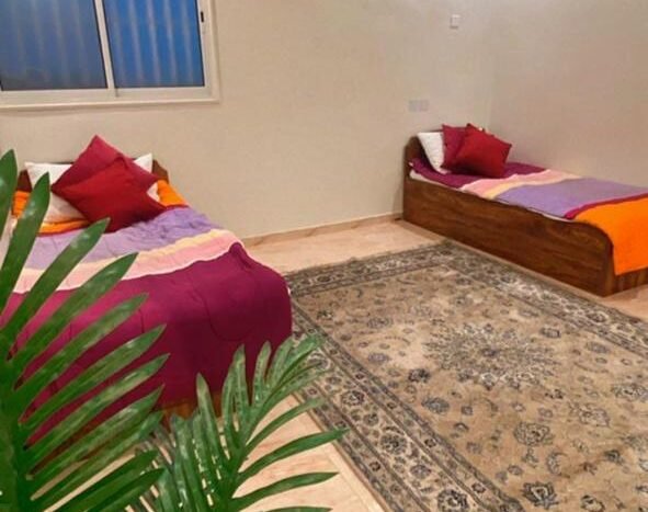 شقه للايجار