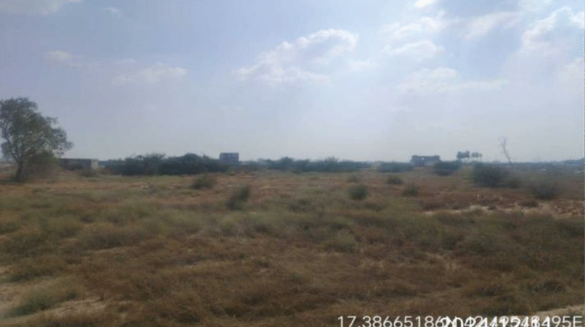 ارضن زراعية للبيع في بيش