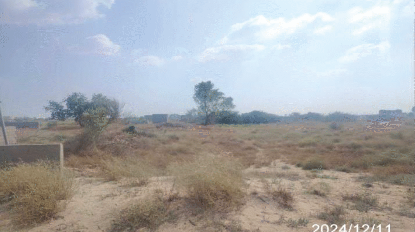 ارضن زراعية للبيع في بيش