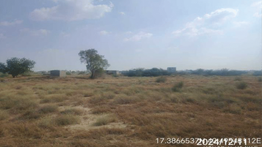 ارضن زراعية للبيع في بيش