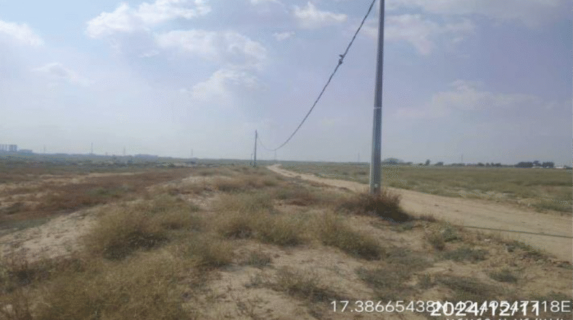 ارضن زراعية للبيع في بيش