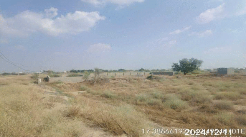 ارضن زراعية للبيع في بيش