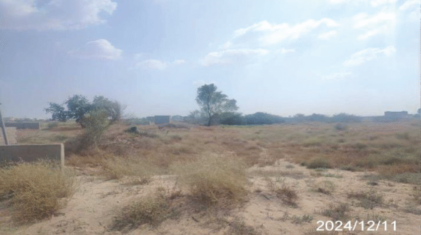 ارضن زراعية للبيع في بيش