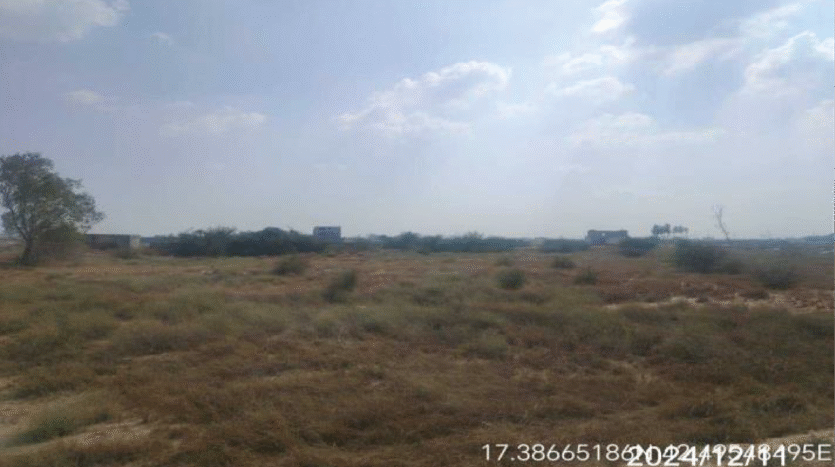 ارضن زراعية للبيع في بيش