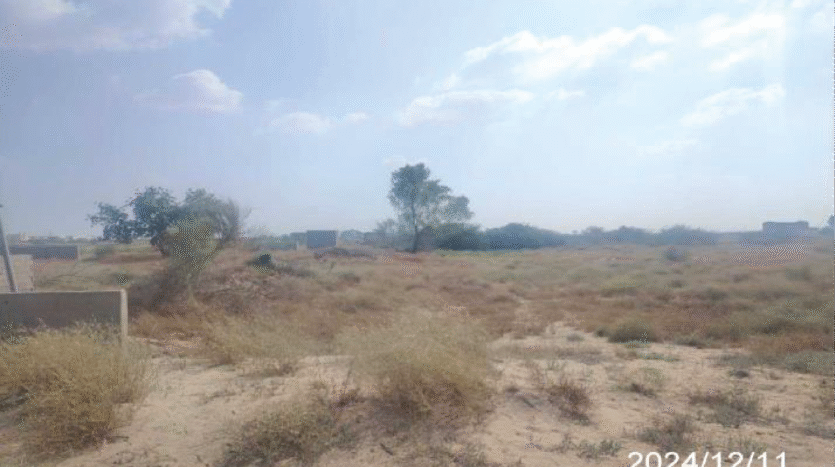 ارض مرخصة محطة بيش جازان