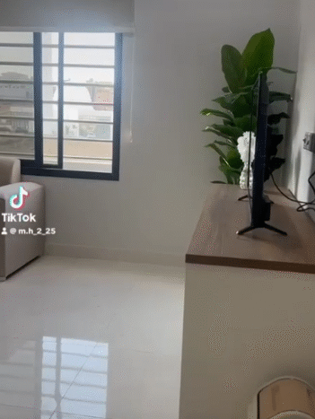 شقة ايجار