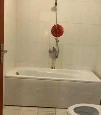 شقة للايجار