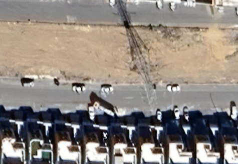 🏡 شقة مميزة في أبها – حي النعمان (مخطط المعالي)