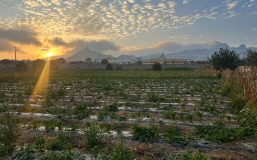 ارض تنومة بها بيت