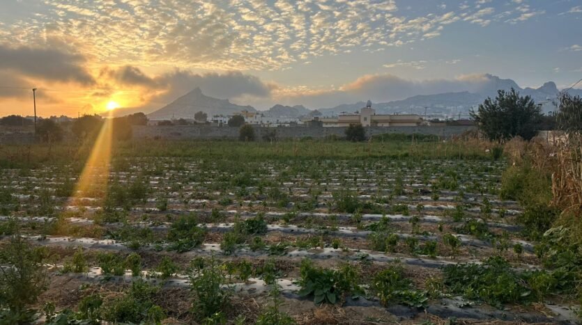 ارض تنومة بها بيت