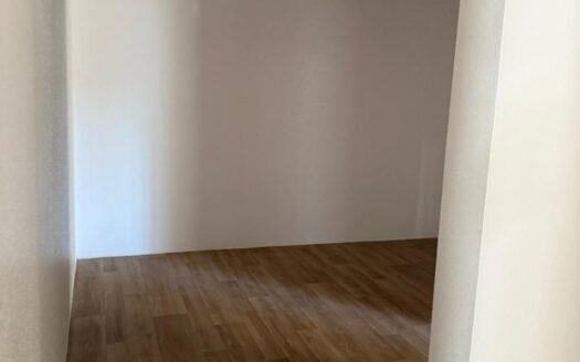 شقه للايجار 