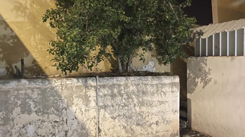 بيت للبيع باللسمر