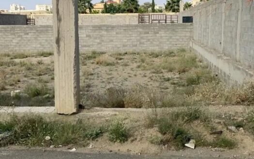 أرضيتين متظاهرتين على شارع شرقي والثانية غربي