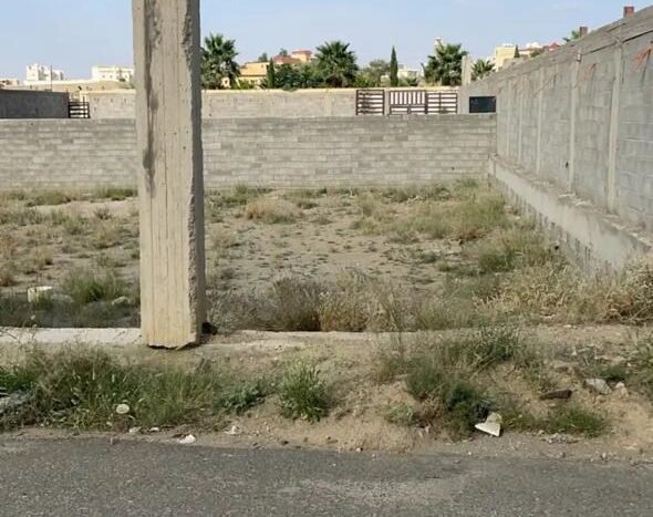 أرضيتين متظاهرتين