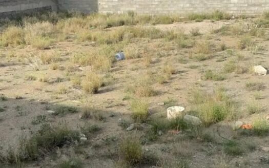 أرضيتين متظاهرتين على شارع شرقي والثانية غربي