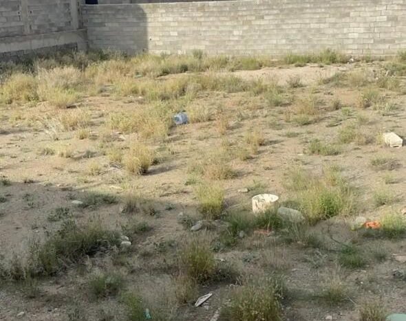 أرضيتين متظاهرتين